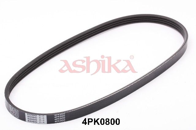 ASHIKA 112-4PK800 V-ribbed belt