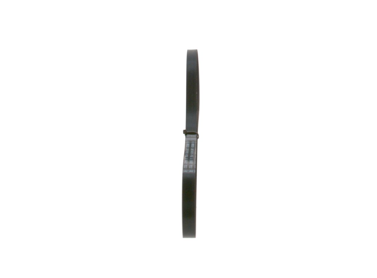 V-ribbed Belt-1