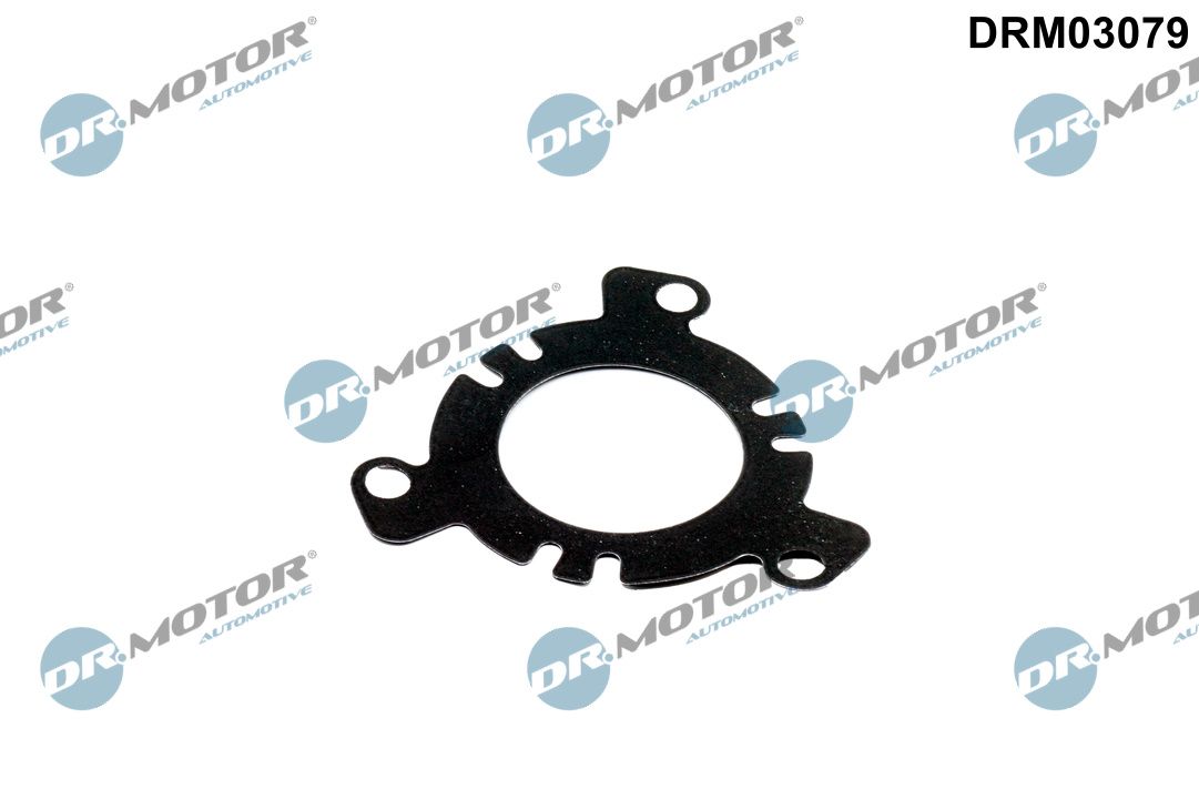 DR.MOTOR AUTOMOTIVE DRM03079 Seal, injection pump