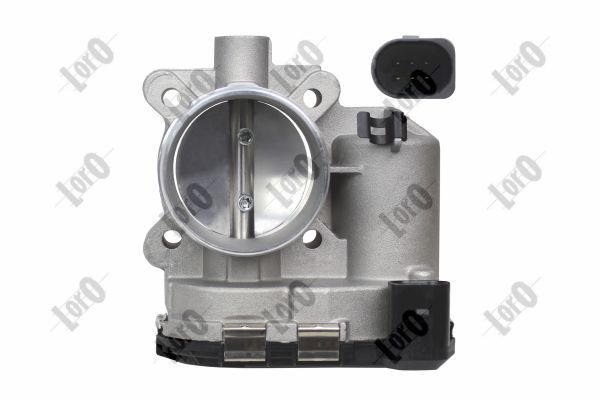 Throttle Body-1