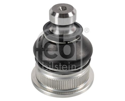 Šarnyras / girgždukas