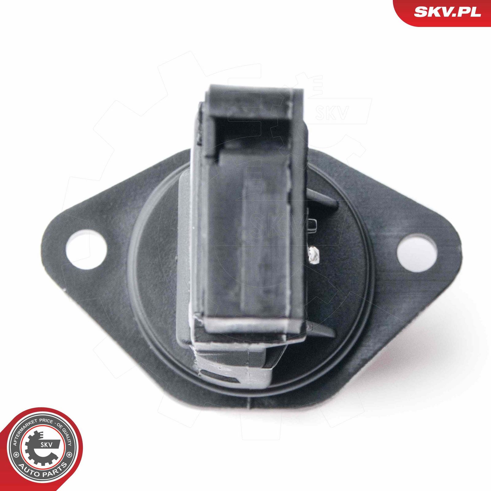 Mass Air Flow Sensor-2