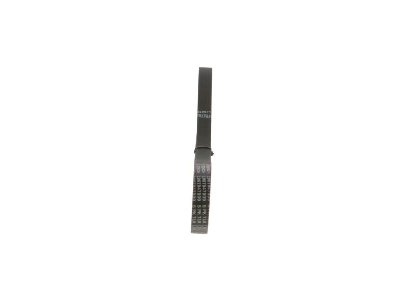 V-ribbed Belt-1