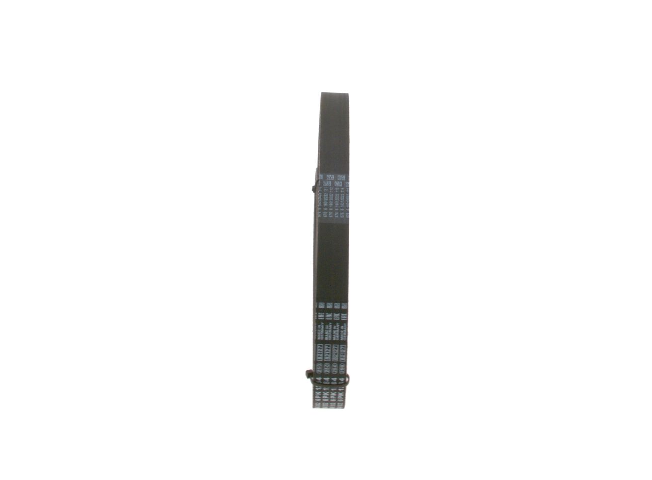 V-ribbed Belt-3