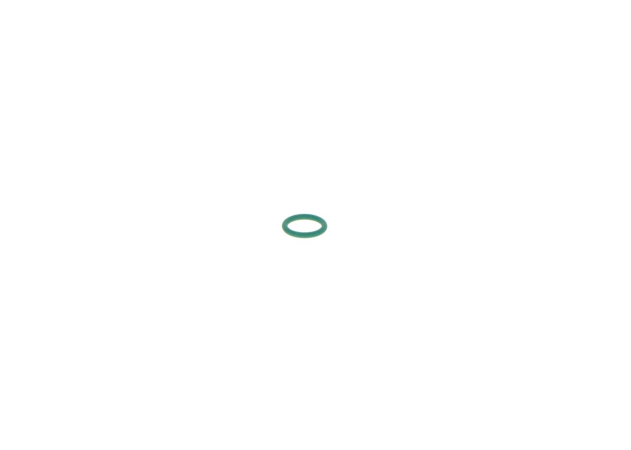 Rubber Ring-1
