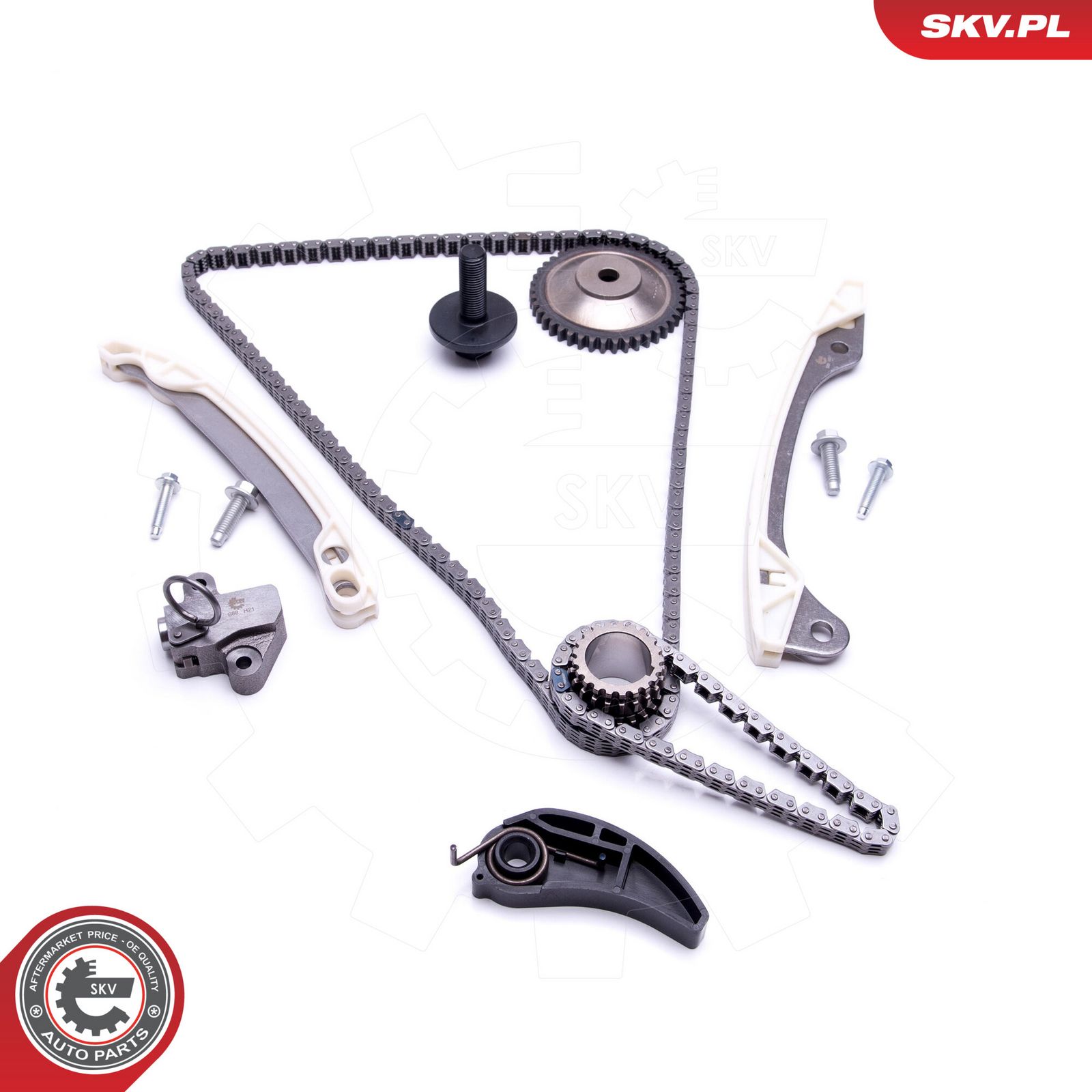 ESEN SKV 21SKV243 Timing chain kit