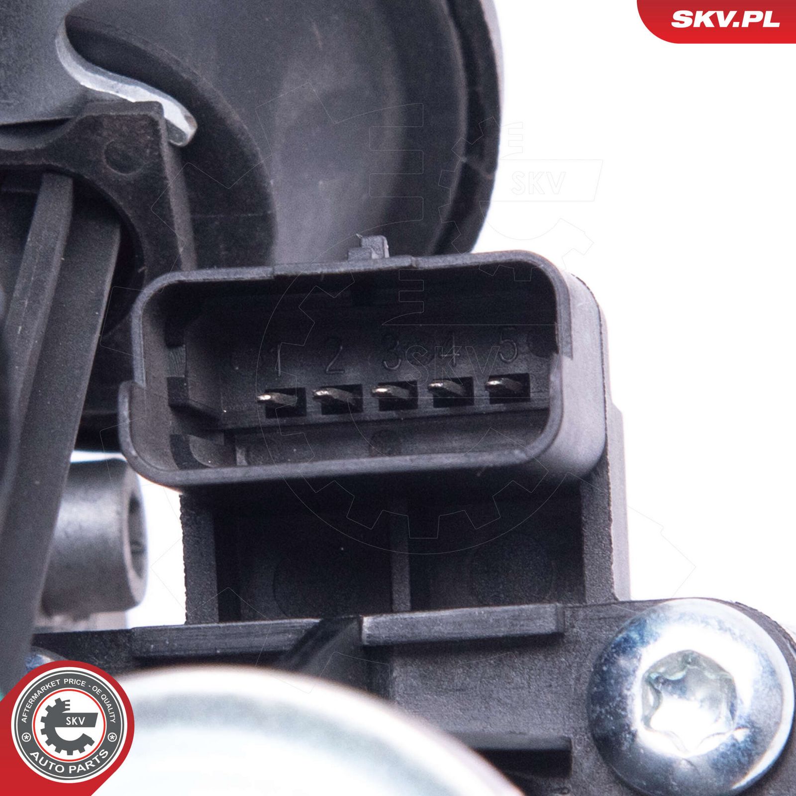 EGR Valve-3
