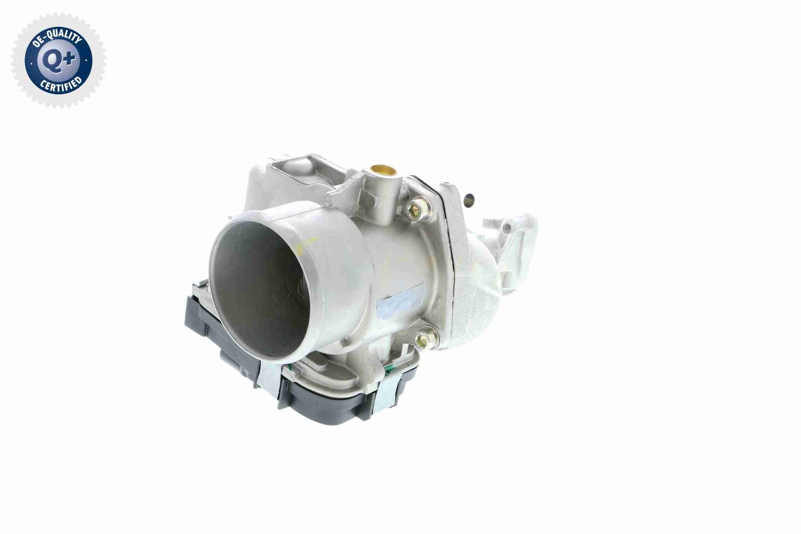Throttle Body-5