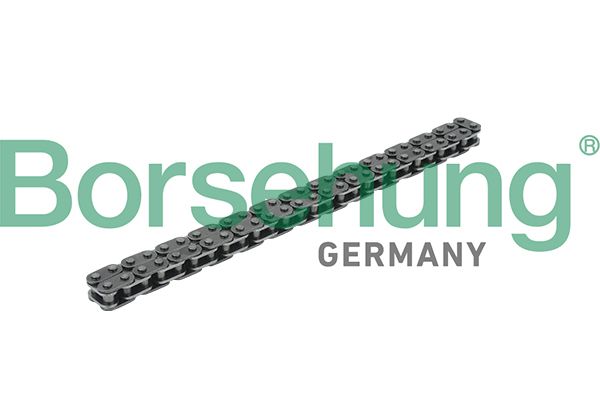 BORSEHUNG B18228 Timing chain