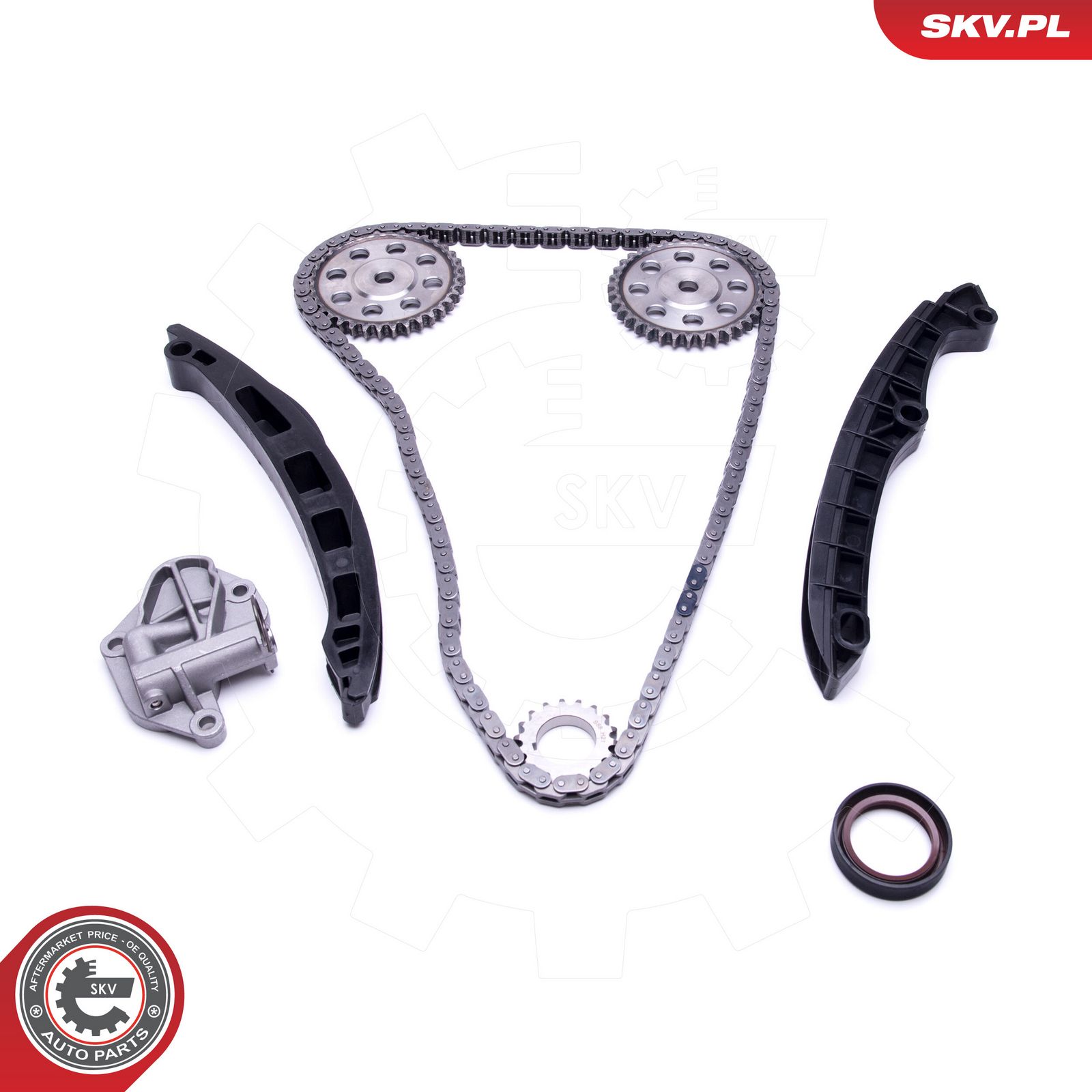 ESEN SKV 21SKV147 Timing chain kit