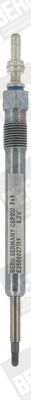 BORGWARNER (BERU) CGP010 Glow plug