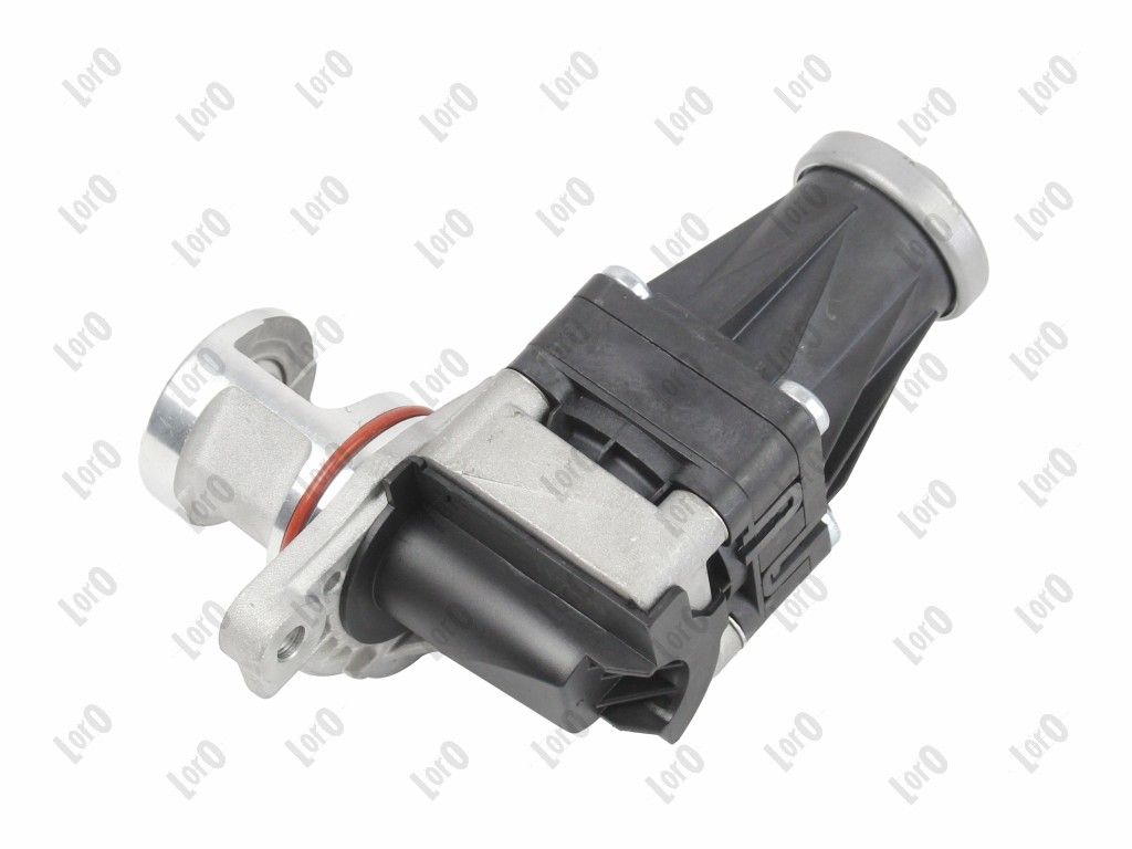 EGR Valve-1