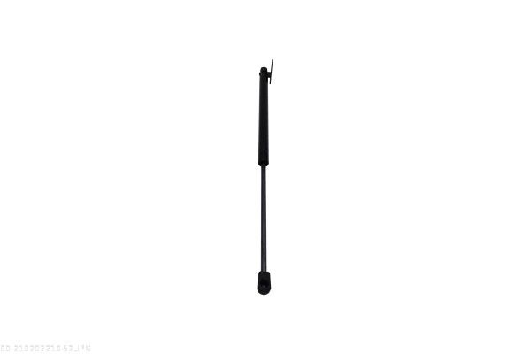 Gas Spring, bonnet-3