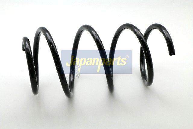 Suspension Spring-main