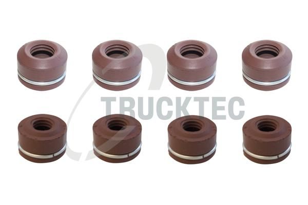 TRUCKTEC AUTOMOTIVE 02.43.006 Seal set, valve stem