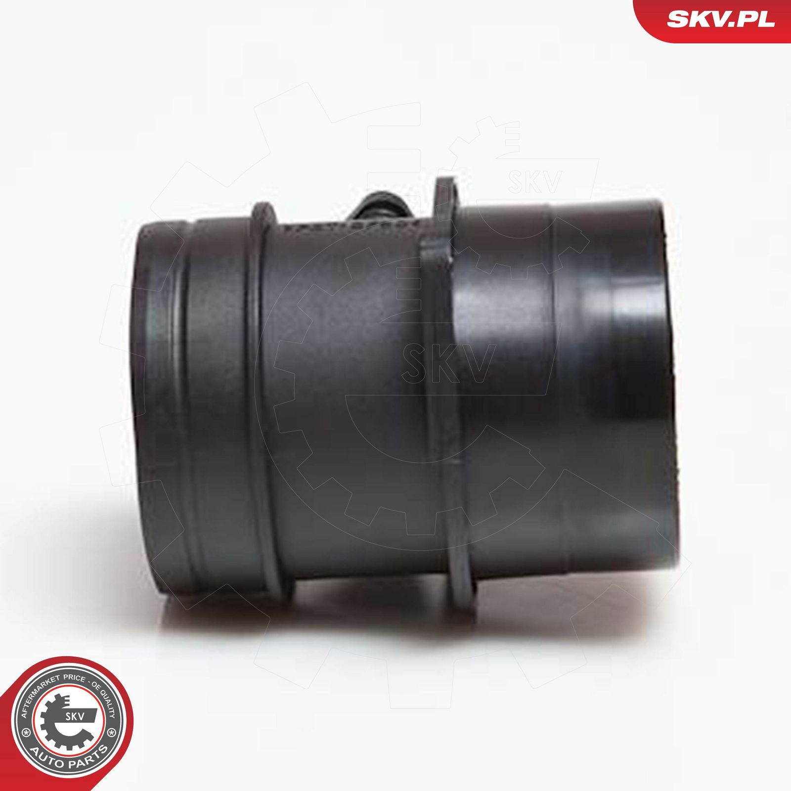 Mass Air Flow Sensor