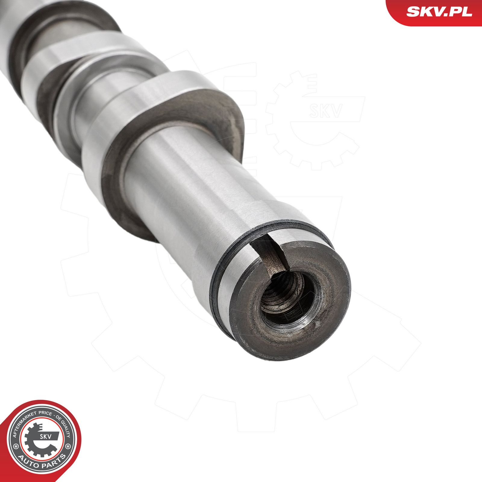 Camshaft Kit-2