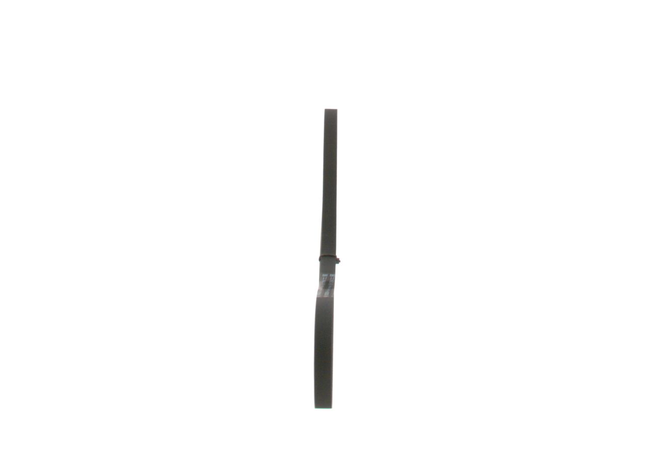 V-ribbed Belt-1