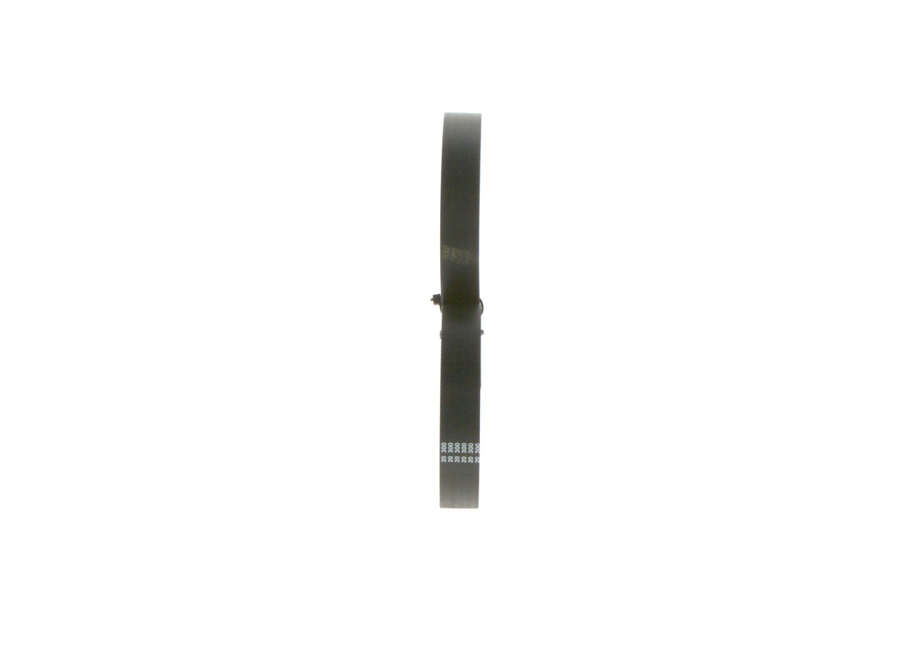 V-ribbed Belt-1