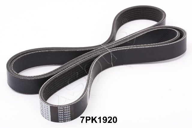 ASHIKA 112-7PK1920 V-ribbed belt
