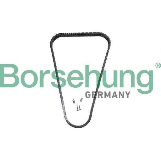 BORSEHUNG B13344 Timing chain