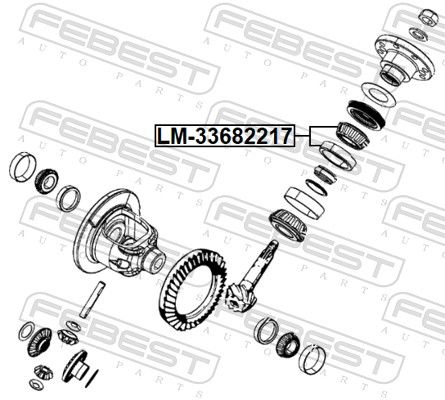Bearing, differential-1
