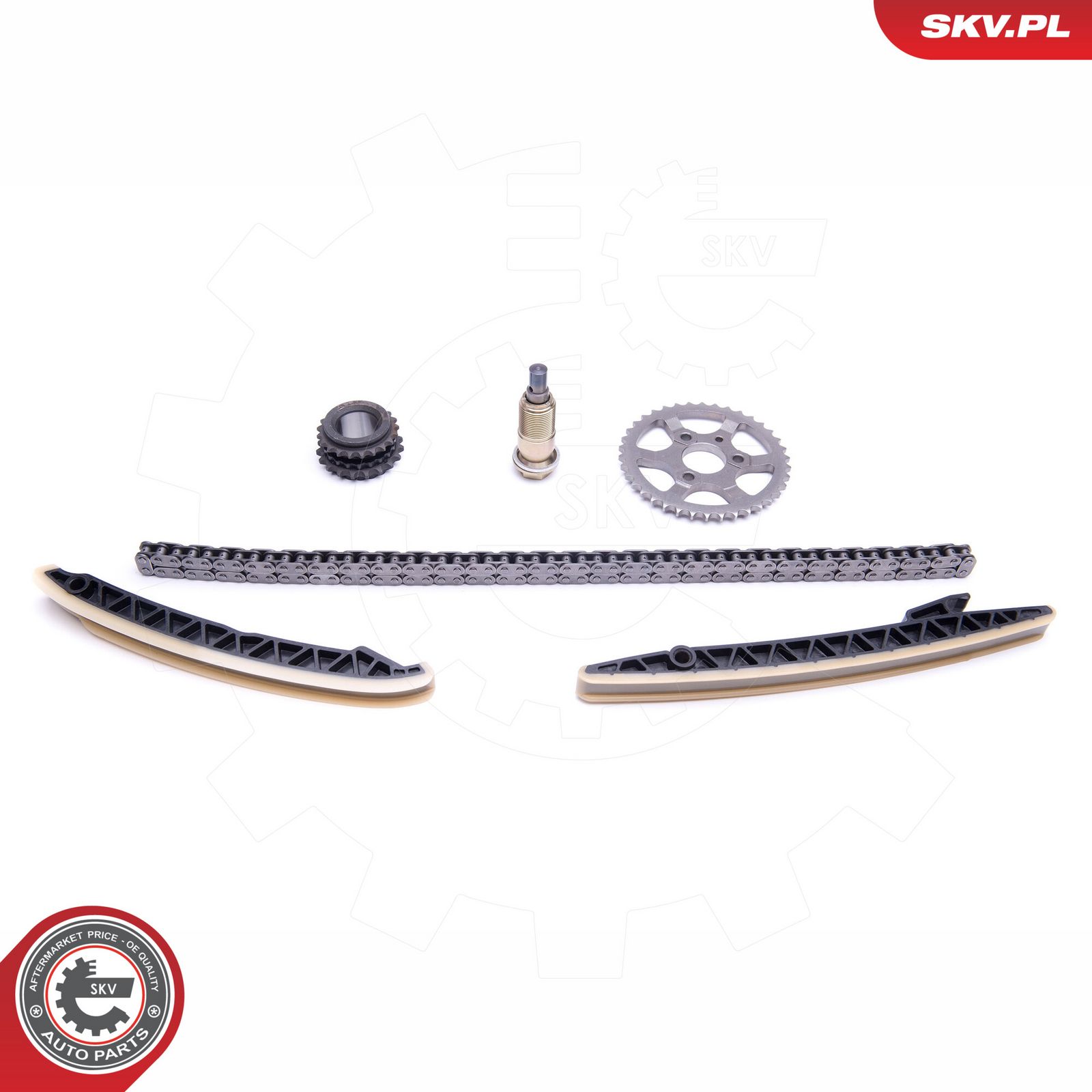 Timing Chain Kit