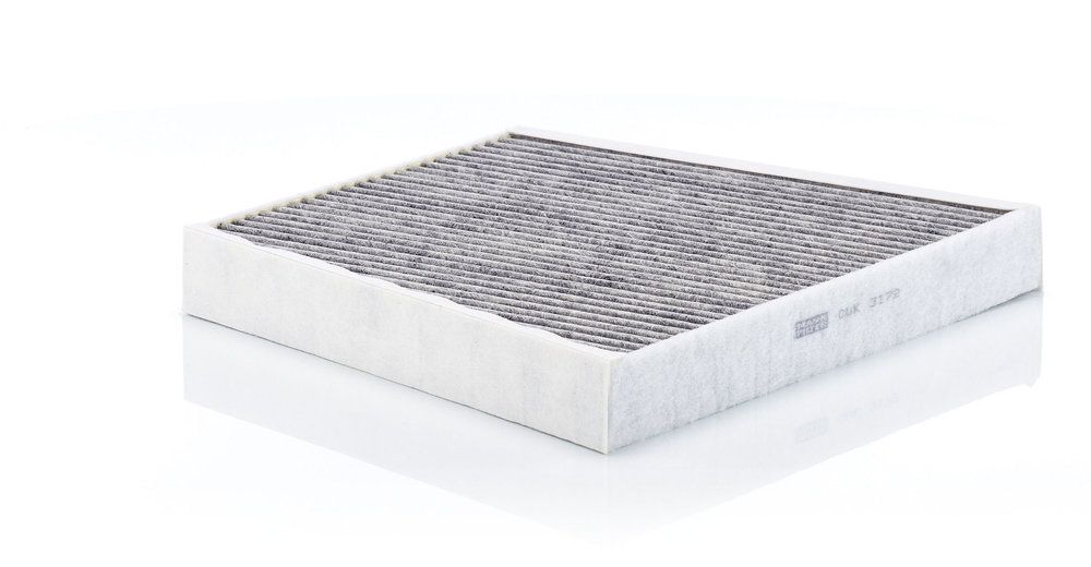 MANN-FILTER CUK 3172 Filter, cabin air