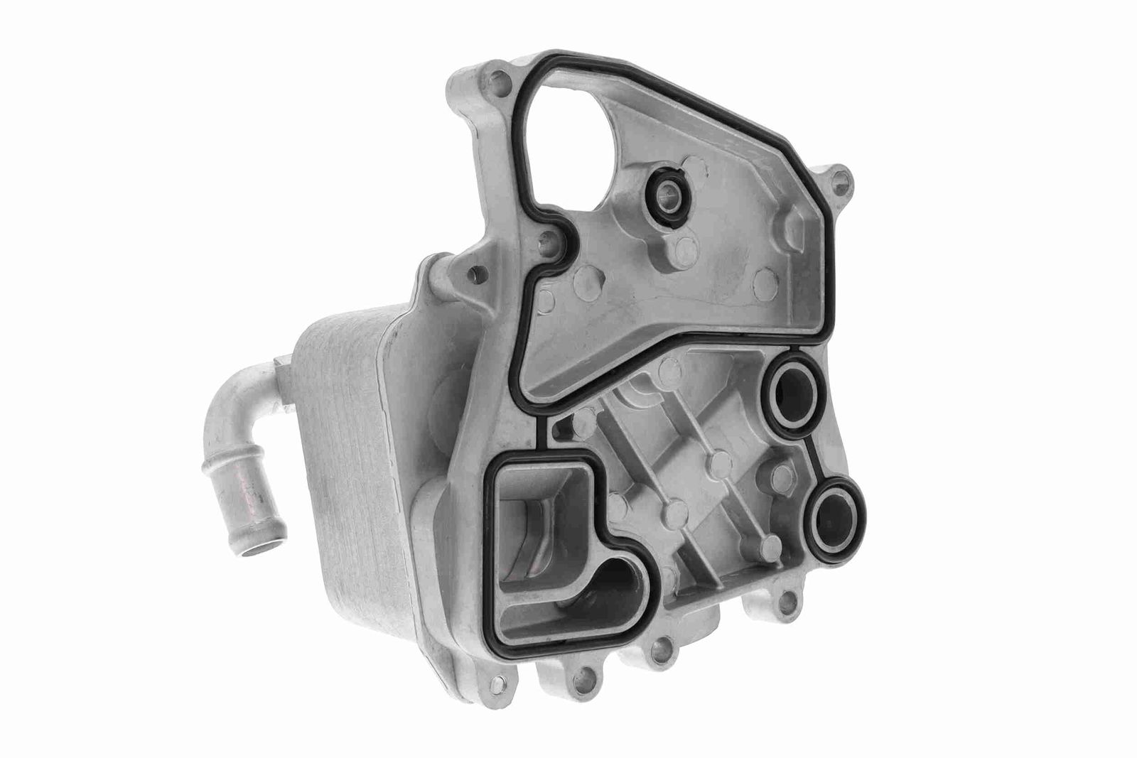 Oil Cooler, engine oil-3