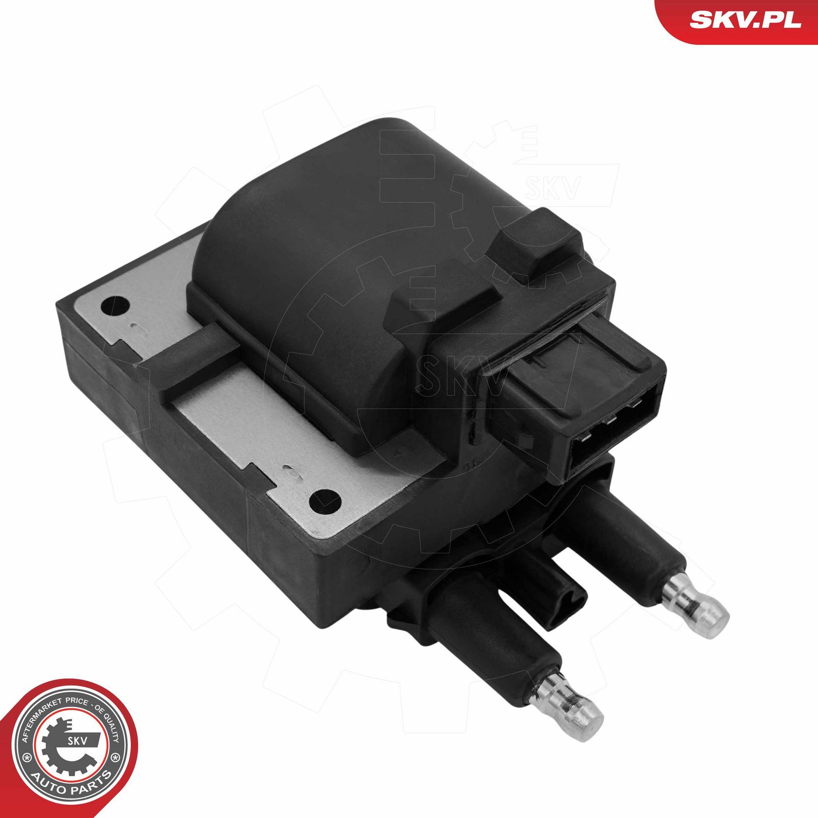 ESEN SKV 03SKV051 Ignition coil