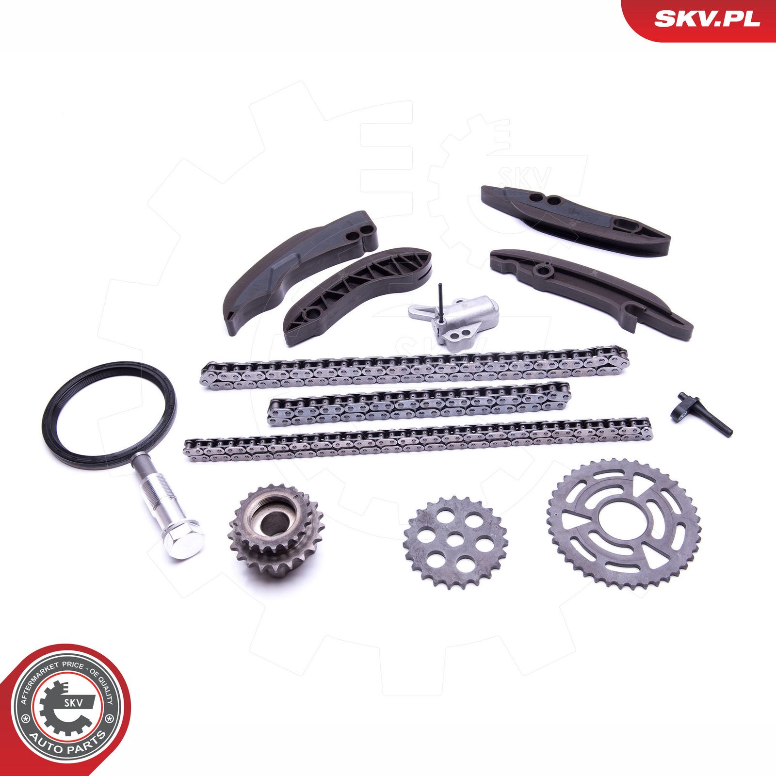 ESEN SKV 21SKV199 Timing chain kit