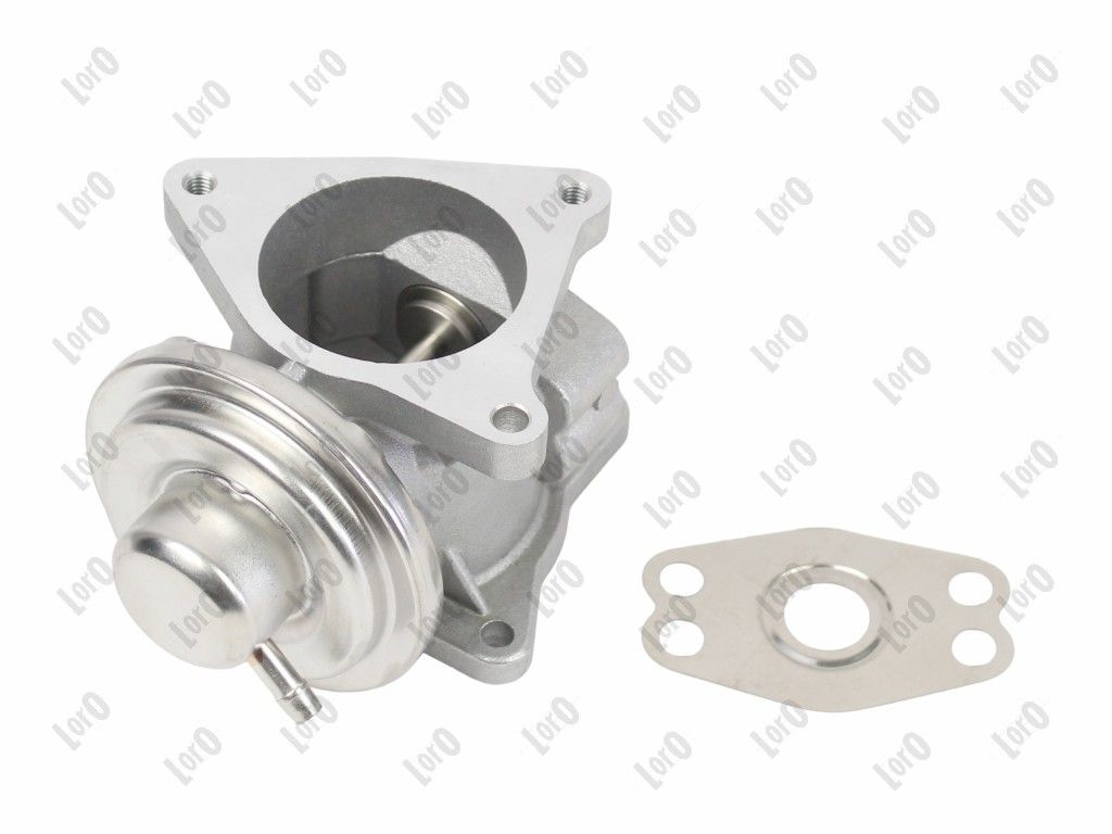 EGR Valve-1