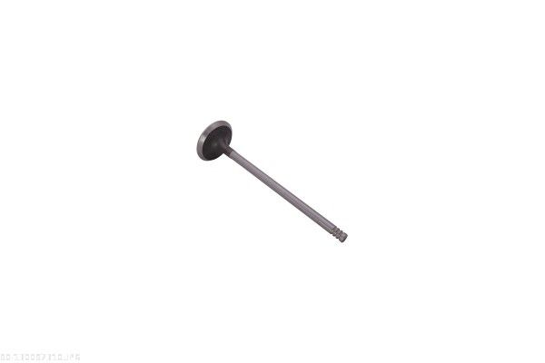 Exhaust Valve-1