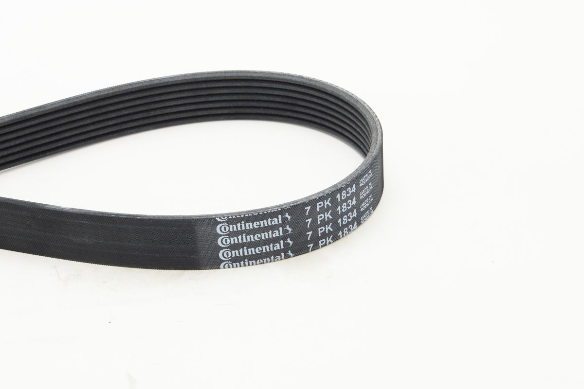 CONTINENTAL CTAM 7PK1834 V-ribbed belt