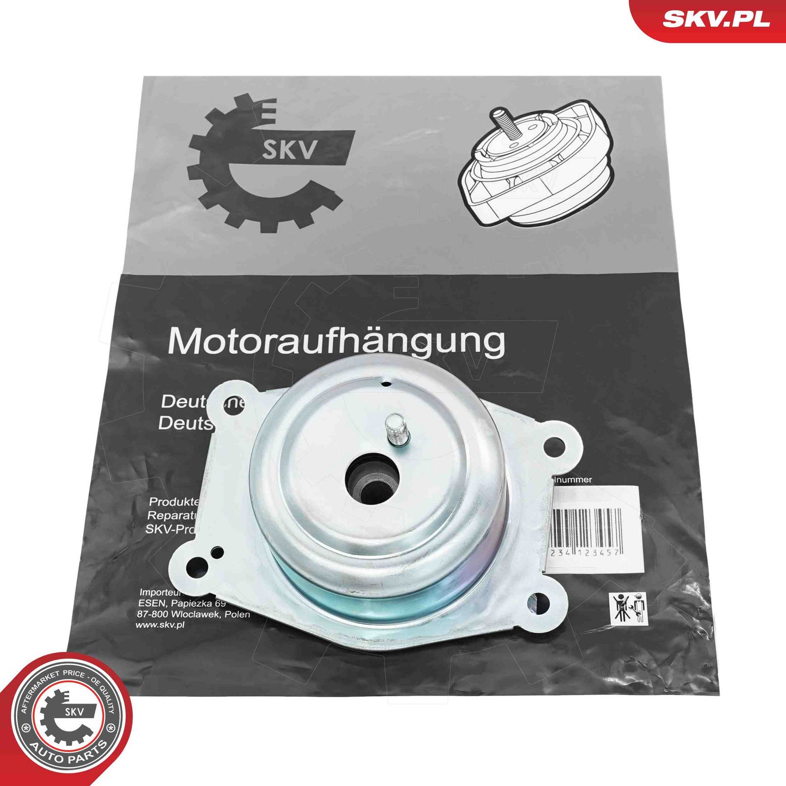 Mounting, engine-4