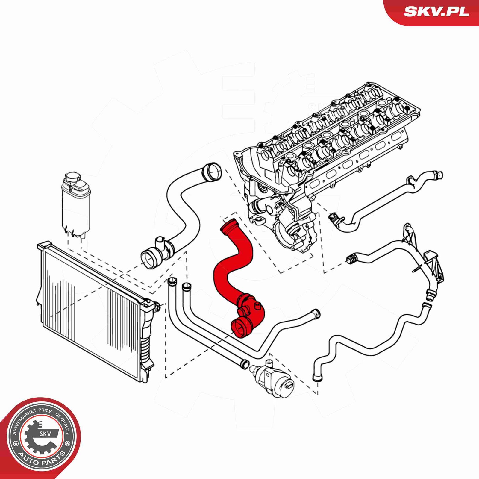 Radiator Hose-1