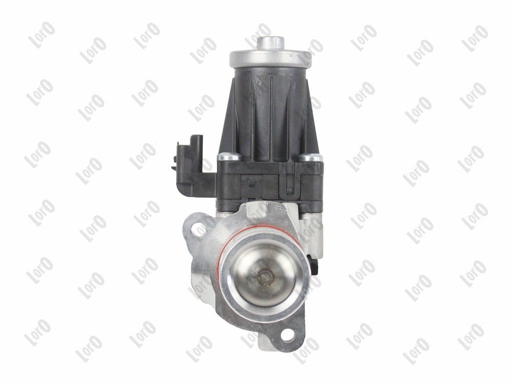 EGR Valve-2