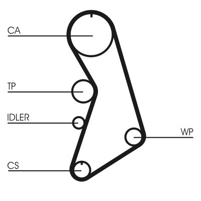 Timing Belt-1