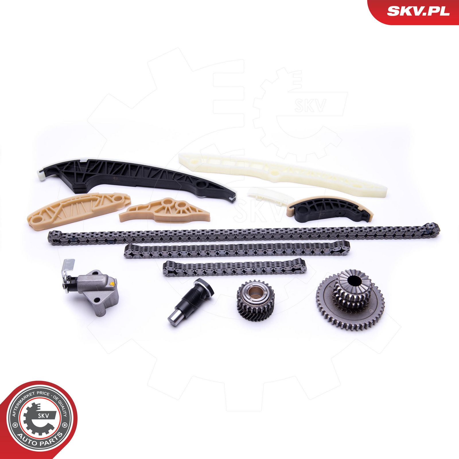 ESEN SKV 21SKV163 Timing chain kit