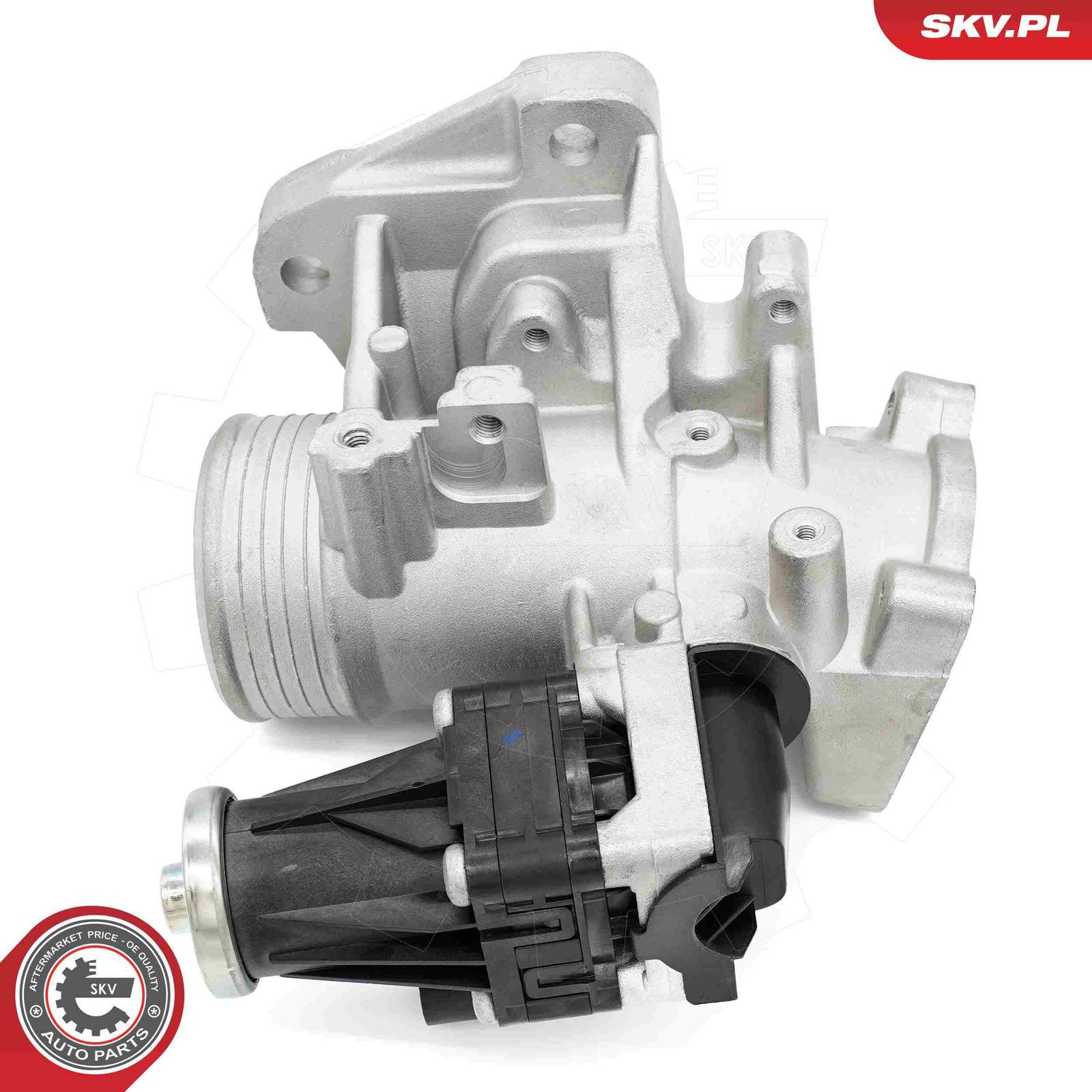 EGR Valve-1