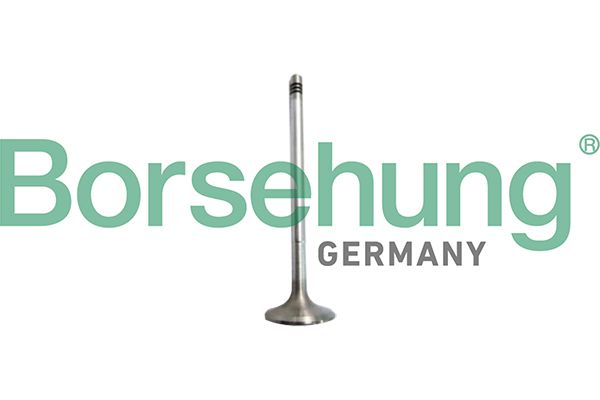 BORSEHUNG B10327 Intake valve