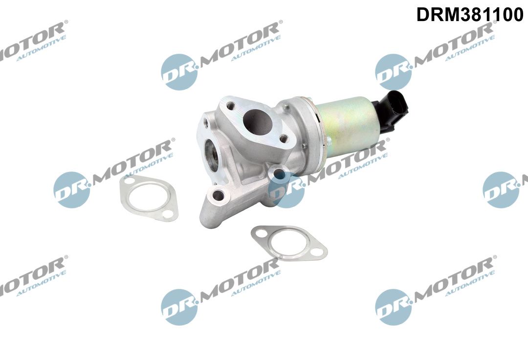 EGR Valve