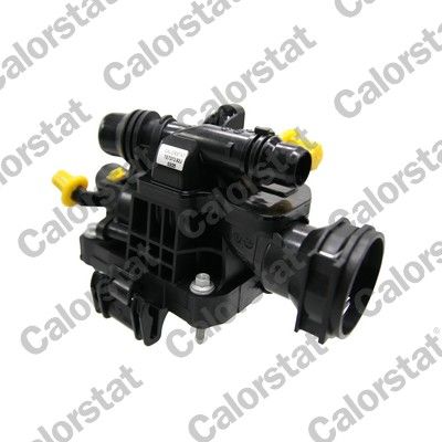 termostatas, aušinimo skystis