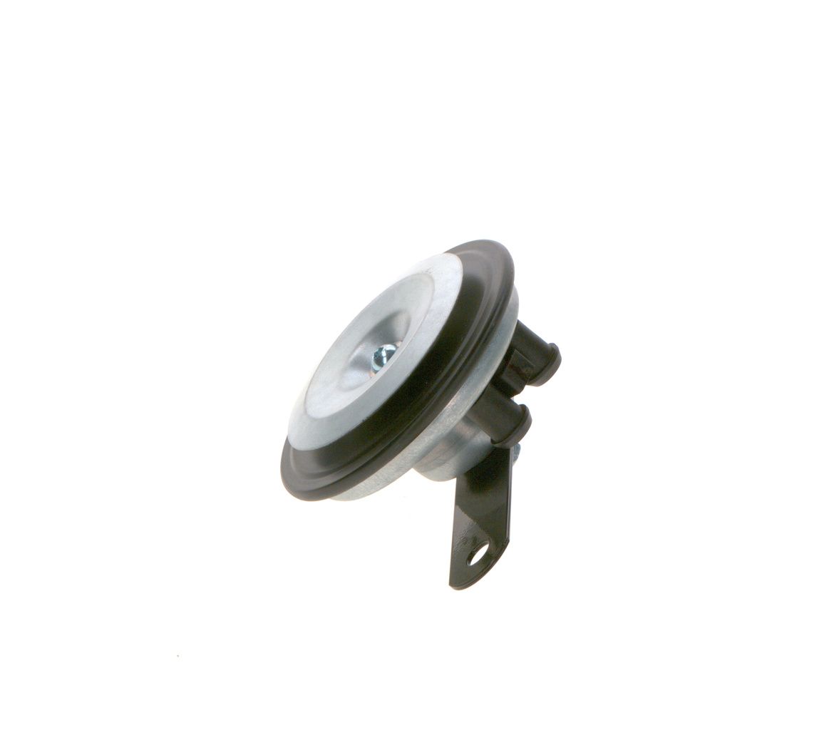 Signal Horn-1