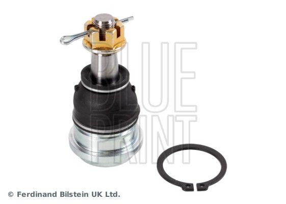 Šarnyras / girgždukas