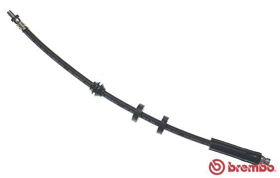 Brake Hose-main