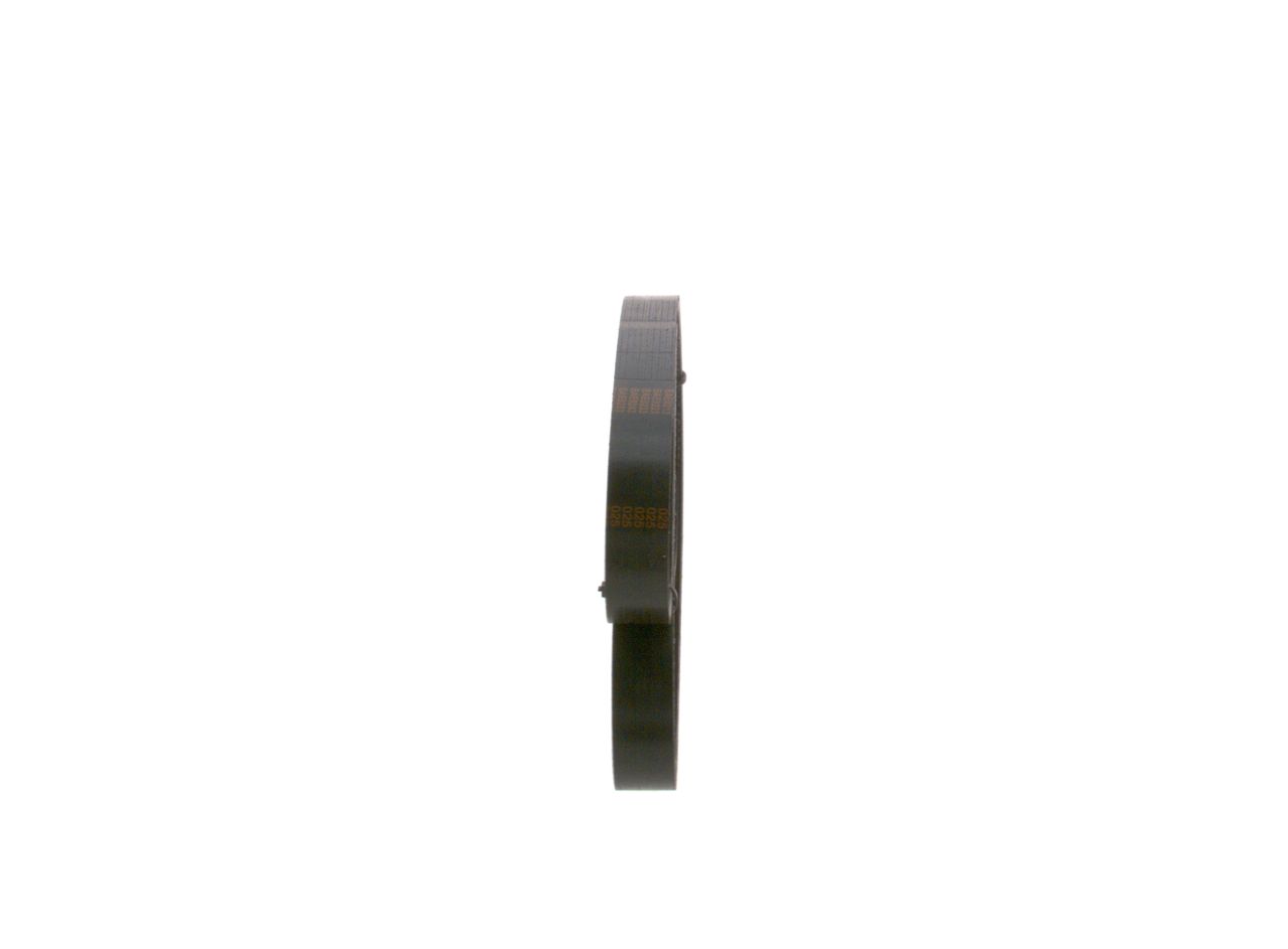 V-ribbed Belt-1