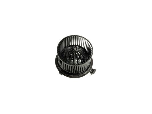 Interior Blower