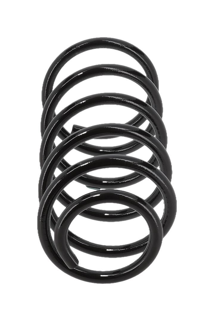 Suspension Spring-2