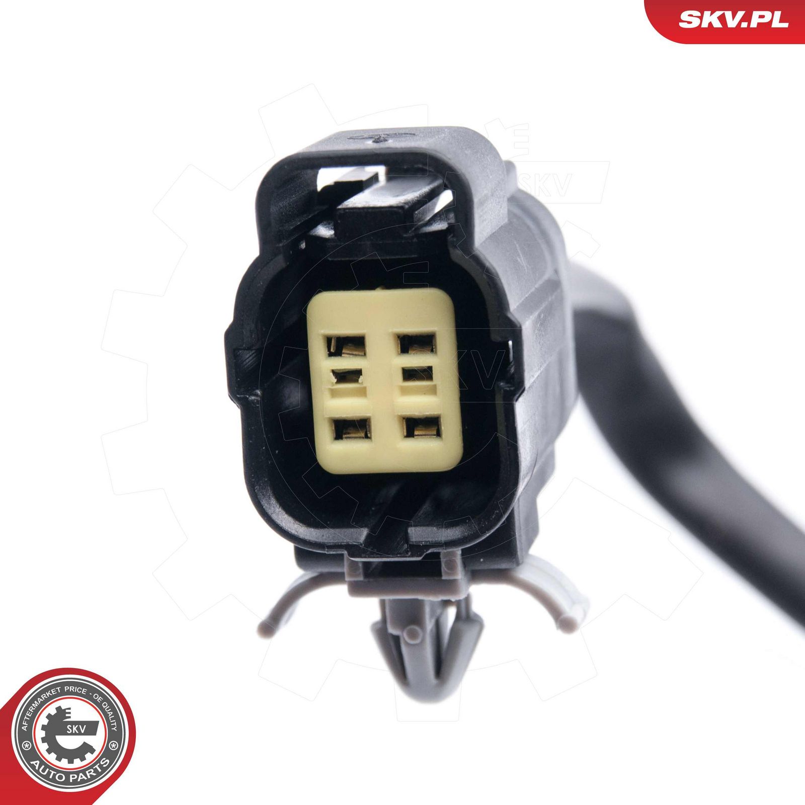 Oxygen Sensor-2